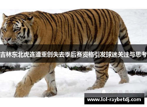 吉林东北虎连遭重创失去季后赛资格引发球迷关注与思考