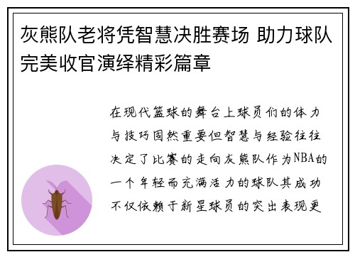 灰熊队老将凭智慧决胜赛场 助力球队完美收官演绎精彩篇章