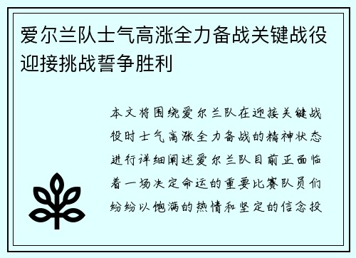 爱尔兰队士气高涨全力备战关键战役迎接挑战誓争胜利